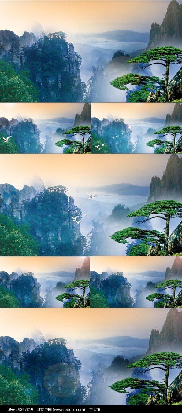 探索生蚝要怎么样清洗才算洗干净?,发现无限可能!
